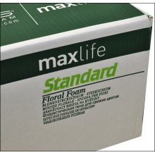 OASIS SPUGNA STANDARD 35PZ