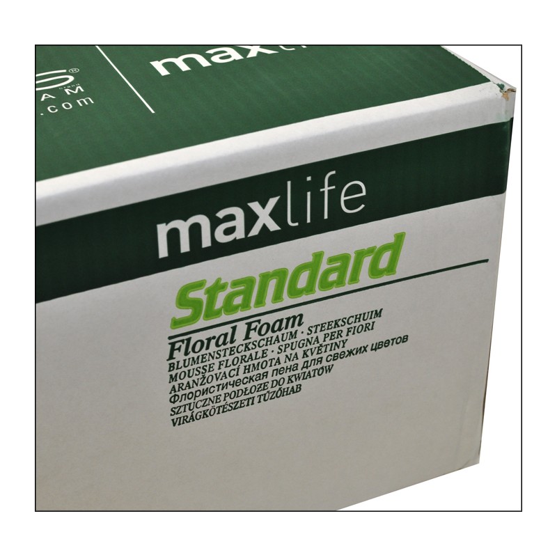 OASIS SPUGNA STANDARD 35PZ