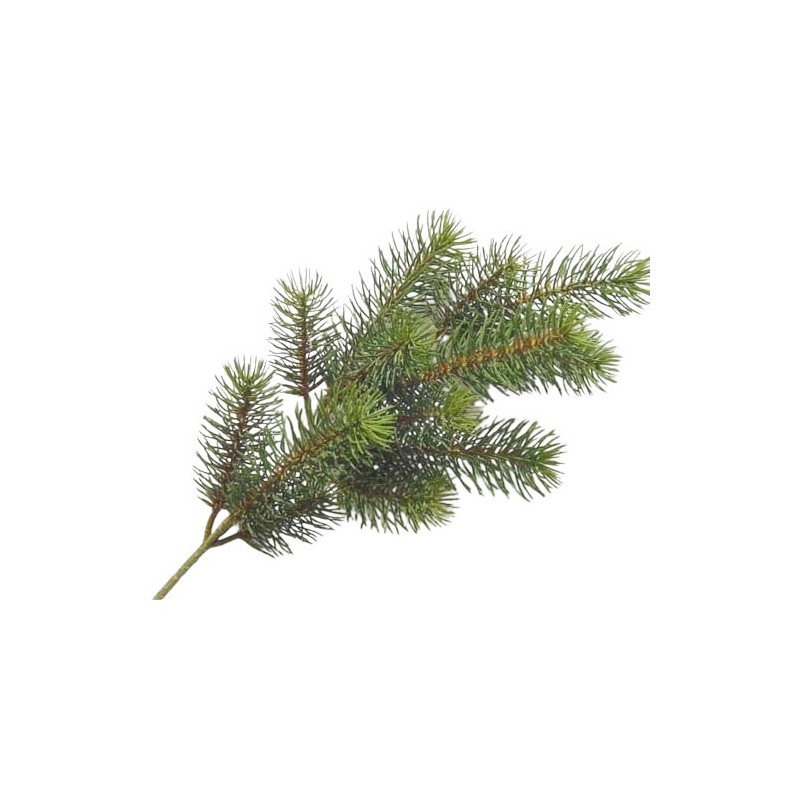 RAMETTO PINO X13 GREEN CM.52