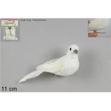 COLOMBA PICCOLA PZ 2