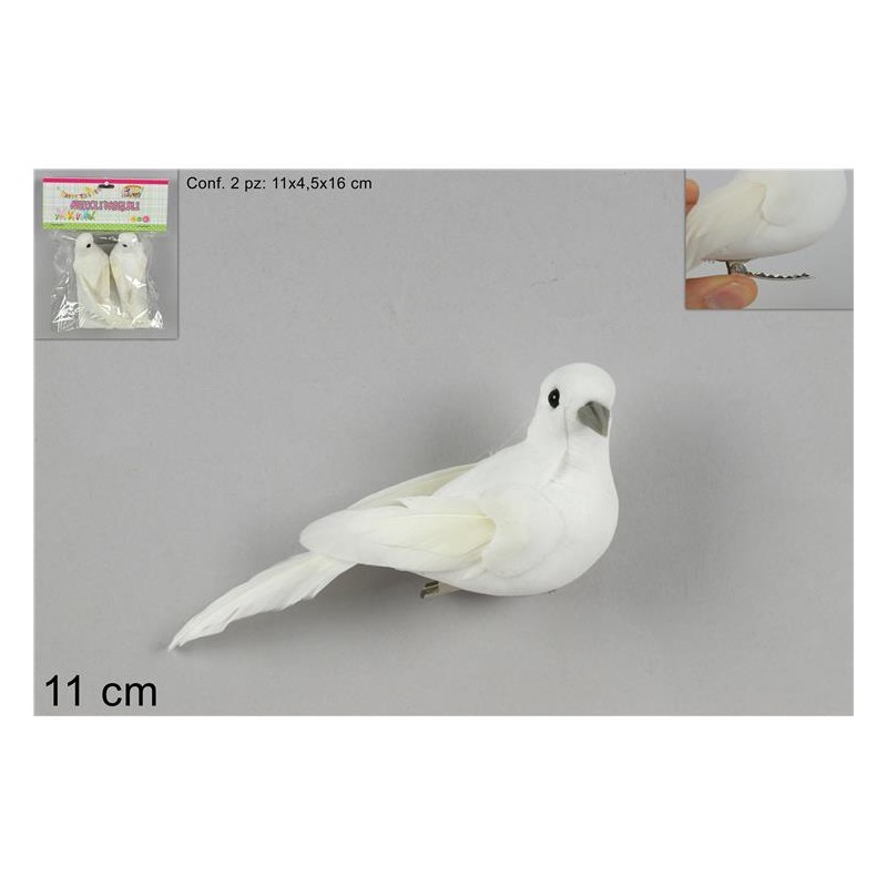 COLOMBA PICCOLA PZ 2