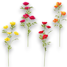 TRALCIO 5 PAPAVERI COLORI ASSORTITI