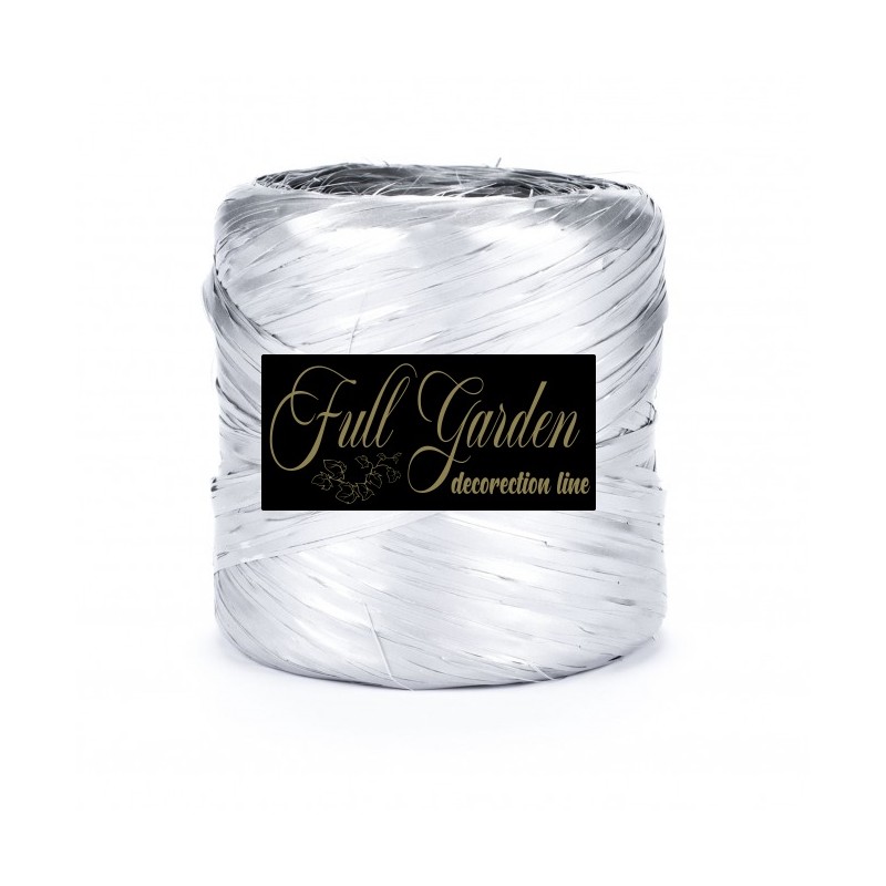 RAPHIA BASIC PACK 200M ARGENTO