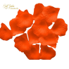 BAG 100 PETALI ORANGE