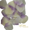 BAG 100 PETALI CREMA/LILLA GRANDI
