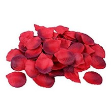 BAG 100 PETALI ROSSO/BORDEAUX PICCOLI