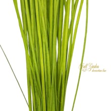 °°°MIDOLLINO PIATTO MM5/6 CM 80 VERDE CHIARO