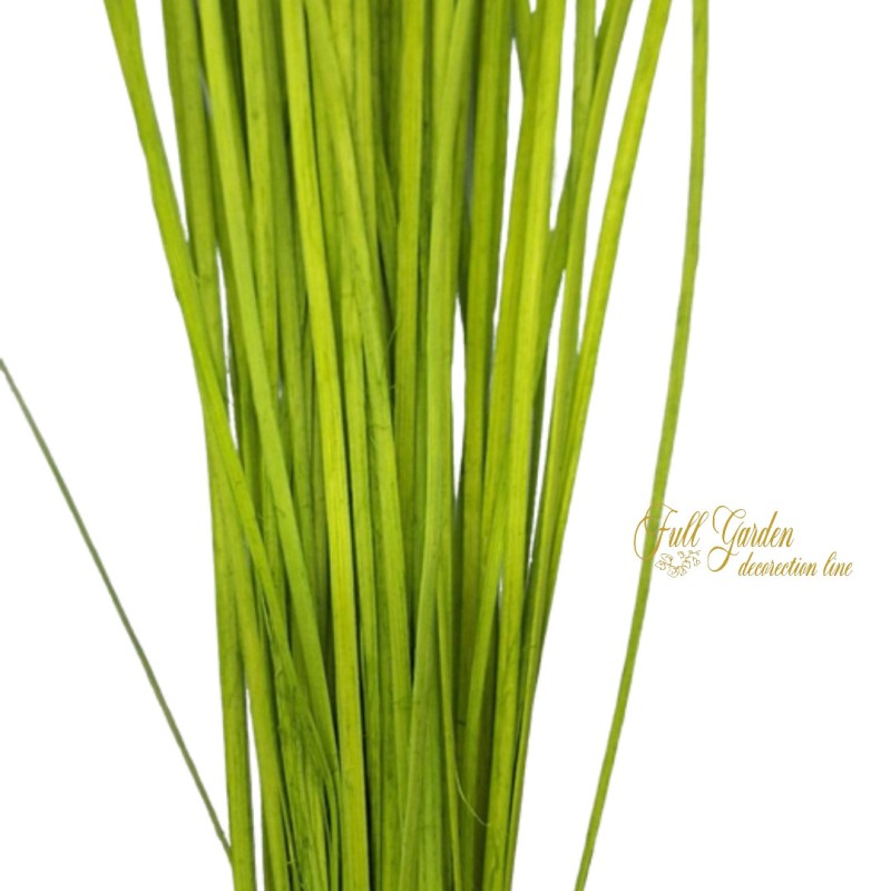 °°°MIDOLLINO PIATTO MM5/6 CM 80 VERDE CHIARO