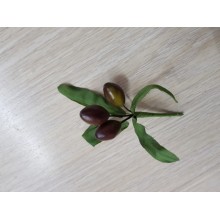 COMPOSIZIONE OLIVE BROWN