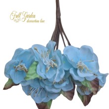 FIOR DI CILIEGIO PZ.6 LIGHT BLUE