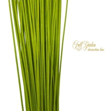 °°°MIDOLLINO MM2XCM80 VERDE