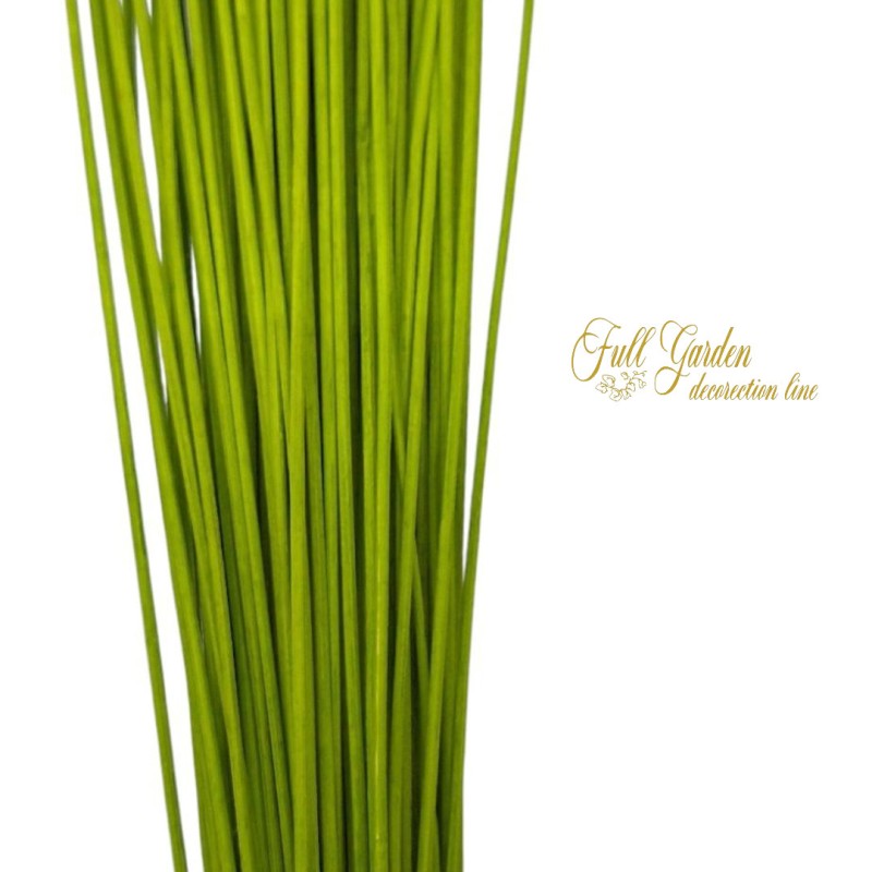 °°°MIDOLLINO MM2XCM80 VERDE