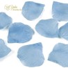 BAG 100 PETALI CELESTE/BLU PICCOLI