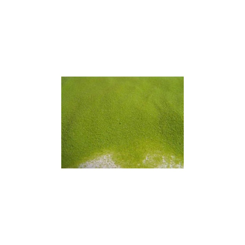 SABBIA KG.1 VERDE MELA