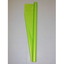 BOBINA BASIC  VERDE MELA CM.70X40 MT