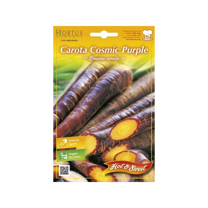 CAROTA COSMIC PURPLE GR.0,20