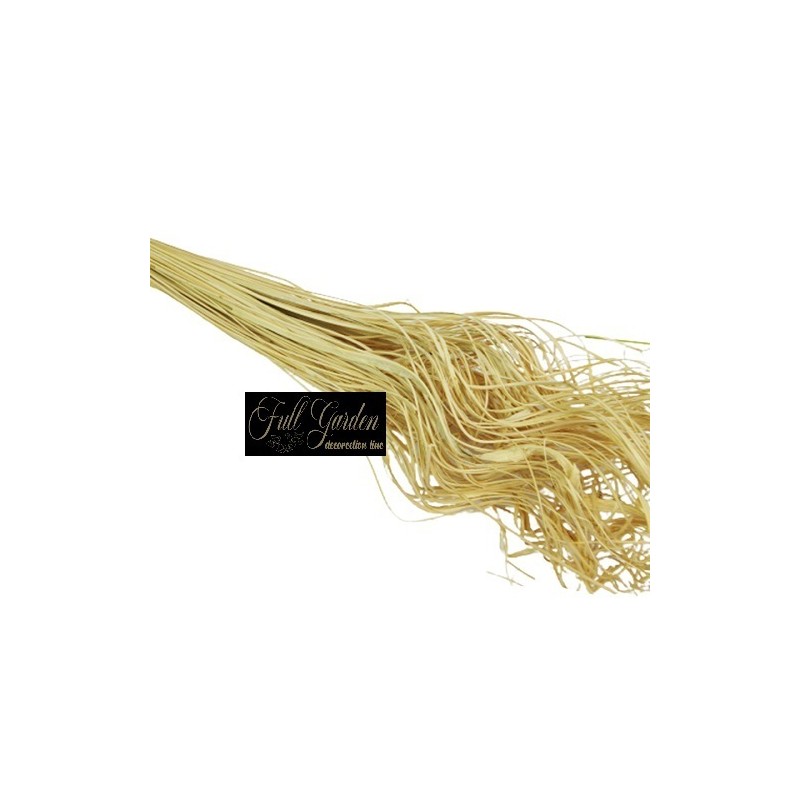 °°°CURLY TING TING COCO BLEACHED