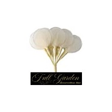 RACCHETTA PANNA PZ.12