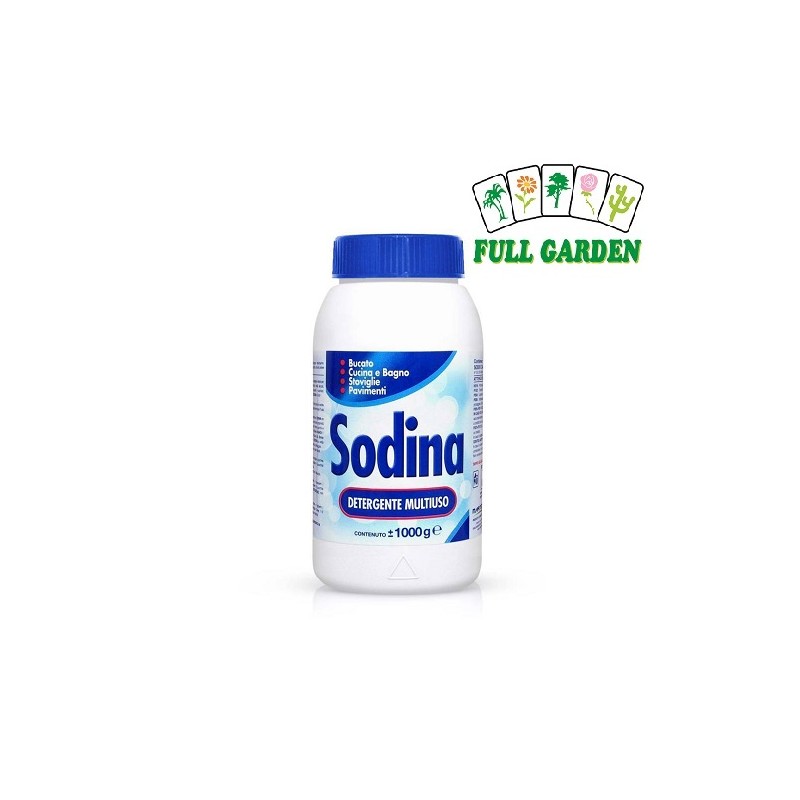 SODIO CARBONATO SOLVE KG.1