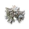 BUNCH SEMINI SILVER