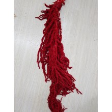°°°AMARANTHUS CADENTE ROSSO