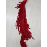 °°°AMARANTHUS CADENTE ROSSO