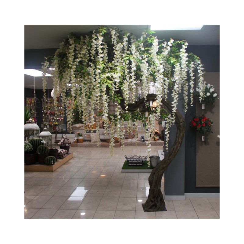 ALBERO GLICINE MT.3,2 WHITE