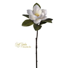 MAGNOLIA NATURAL TOUCH CREAM CM.68