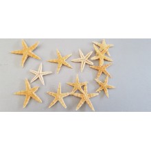 STELLE BABY STARFISH PANNA CM2,5/4 100PZ