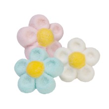 MIX MARGHERITA COLORI MIX GR.900