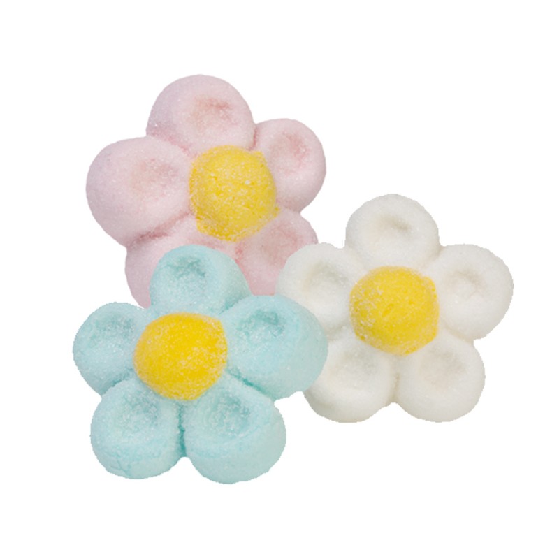 MIX MARGHERITA COLORI MIX GR.900