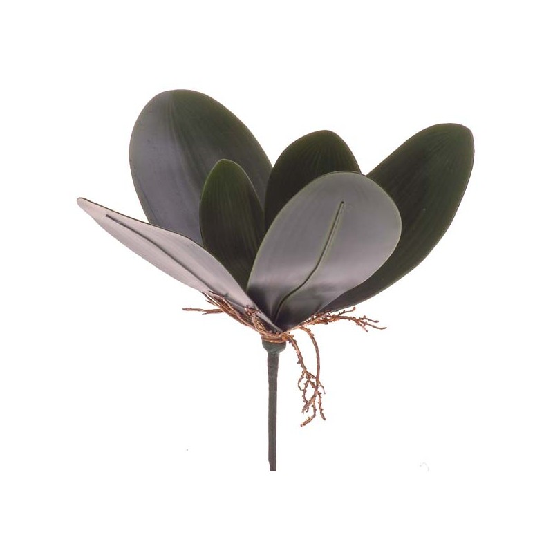 ORCHID BUTTERFLY LVS X7 GREEN