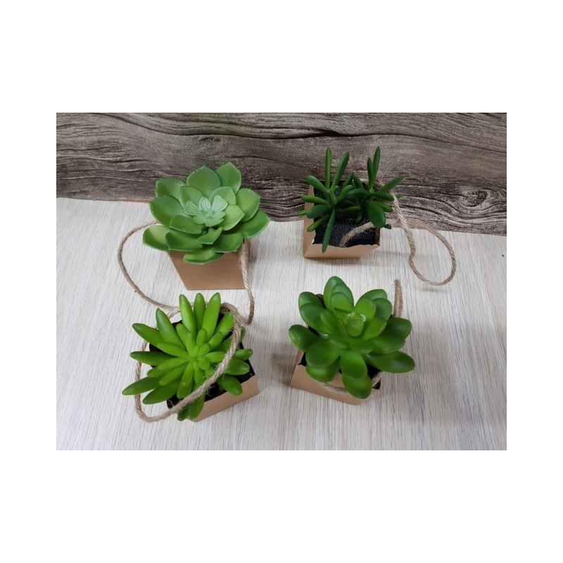 PIANTINA C/VASETTO CARTA ASS. CM.20