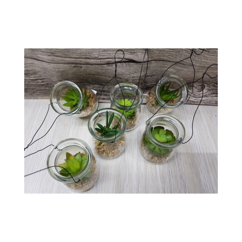 NATURAL PIANTINA LANTERNA ASS. CM.17