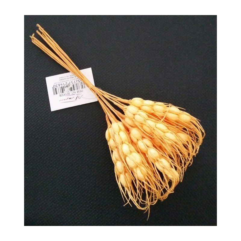 SPIGA PC. GIALLA X12