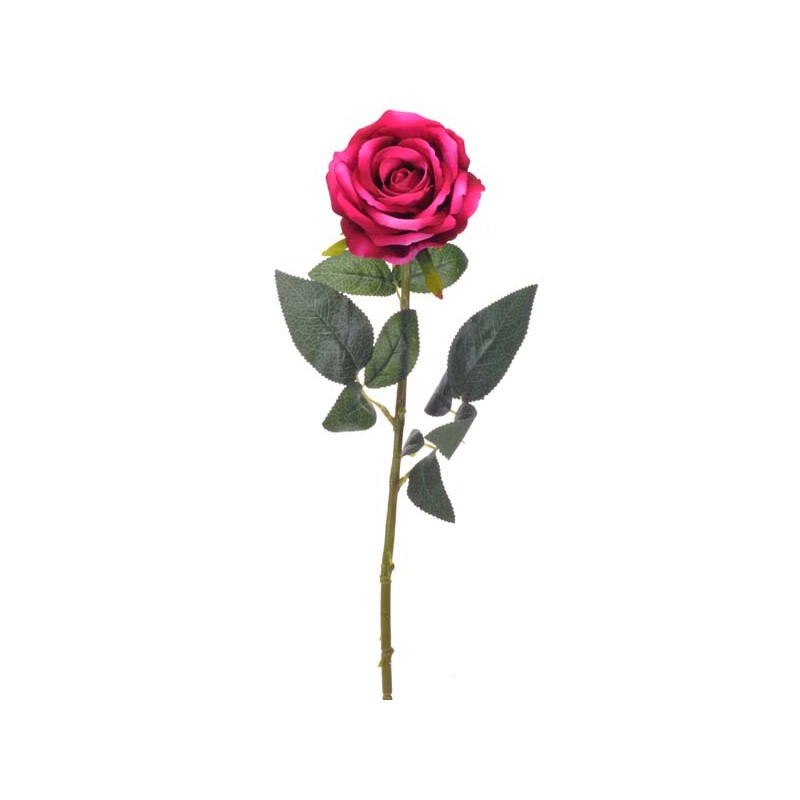 SINGLE ROSE BEAUTY H76 D 10 CM