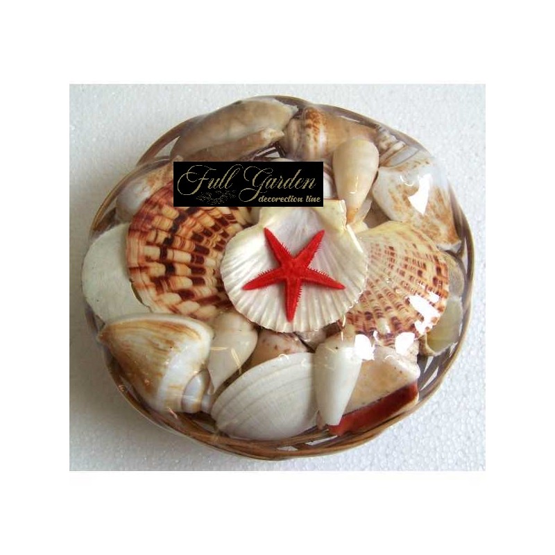 °°°CESTINO CONCHIGLIE 8