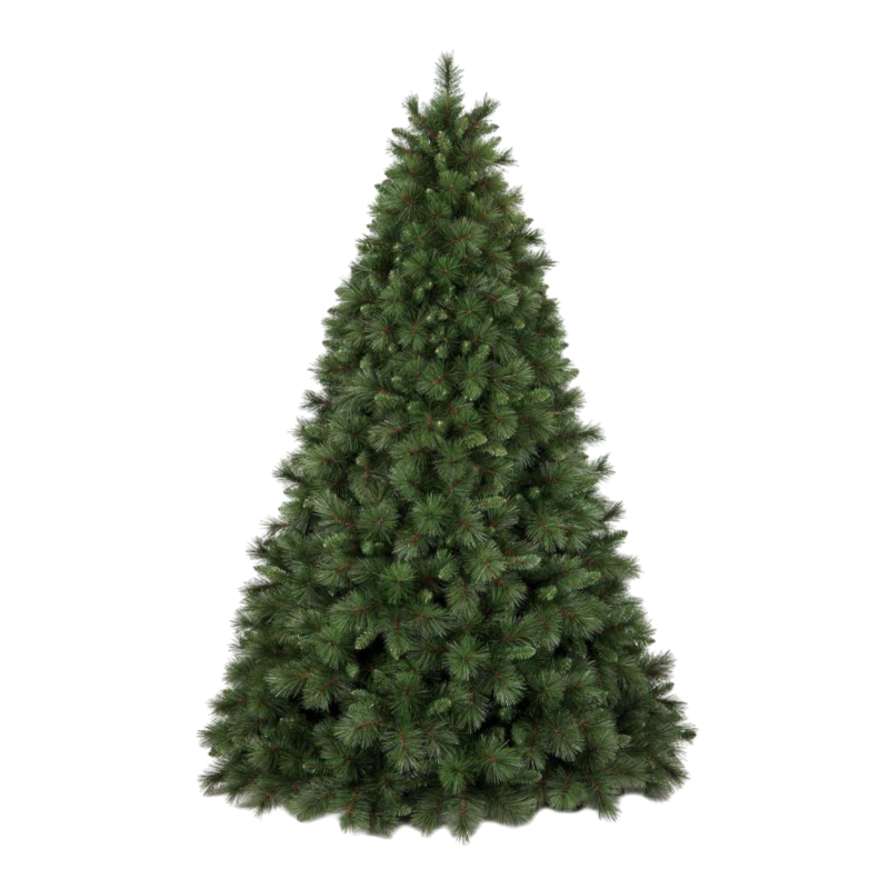 ALBERO OLIMPO CM.180H DIAM.124 TIPS 953