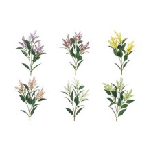 ASTILBE X3 ASSORTITI CM.70