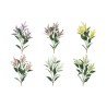 ASTILBE X3 ASSORTITI CM.70