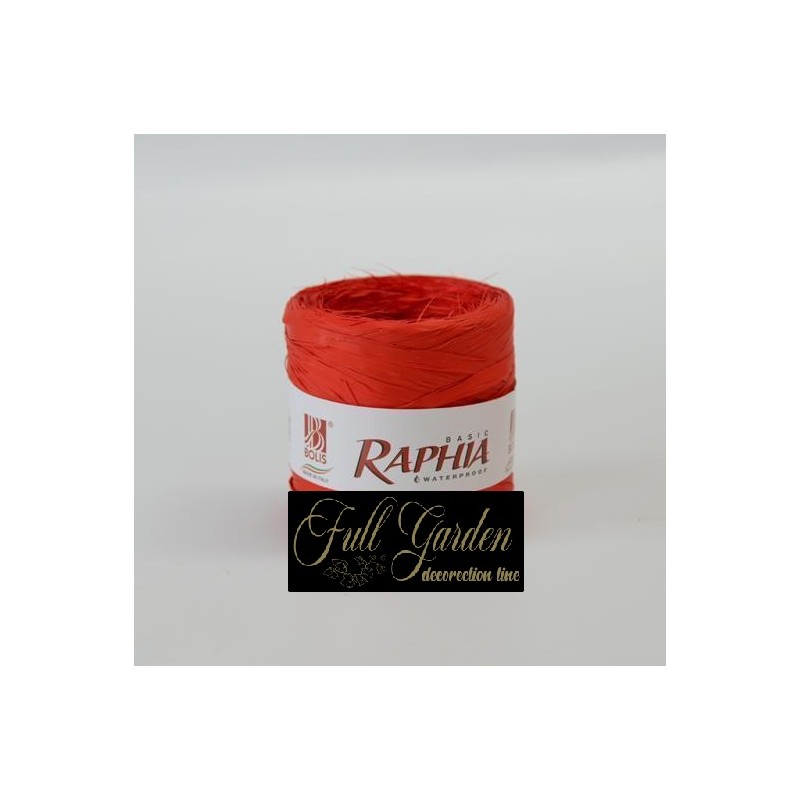 RAPHIA BASIC PACK 200M SALMONE