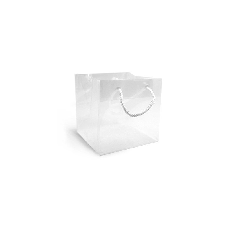 BAG TRASPARENT 17X17X17 PZ10