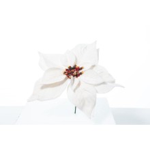 PICK POINSETTIA DELUXE VELVET WHITE