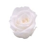 ROSE STABILIZZATE INES  X6 BIANCO D.4CM