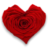 ROSE STABILIZZATA X1 CUORE