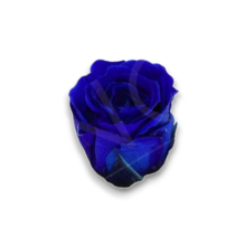 ROSE STABILIZZATE AVA  X 16 BLU D.2,5 CM
