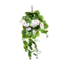 CADENTE GERANIO X 11 CREAM