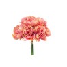 BUNDLE PEONIE X 10 CM.32 CORAL