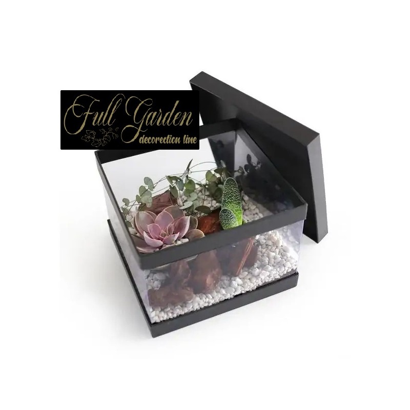 SCAT. TRASP. PANDORE SET 2 PZ NERO