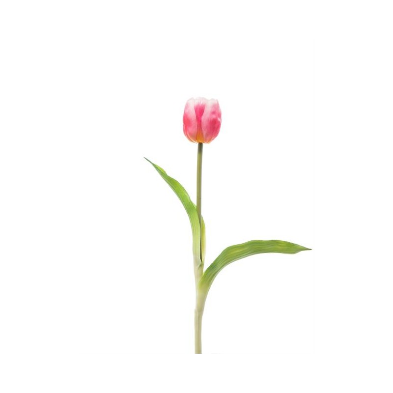 TULIPANO SINGOLO GOMMA PINK